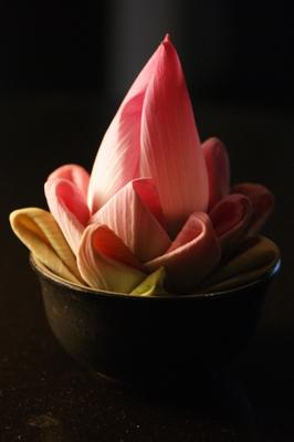 Lotusblüte zur Dekoration à Christian Beckers