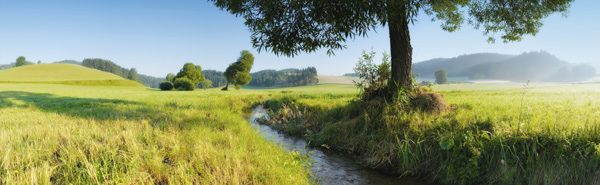 Wald4tel-Panorama à Christian Lehner