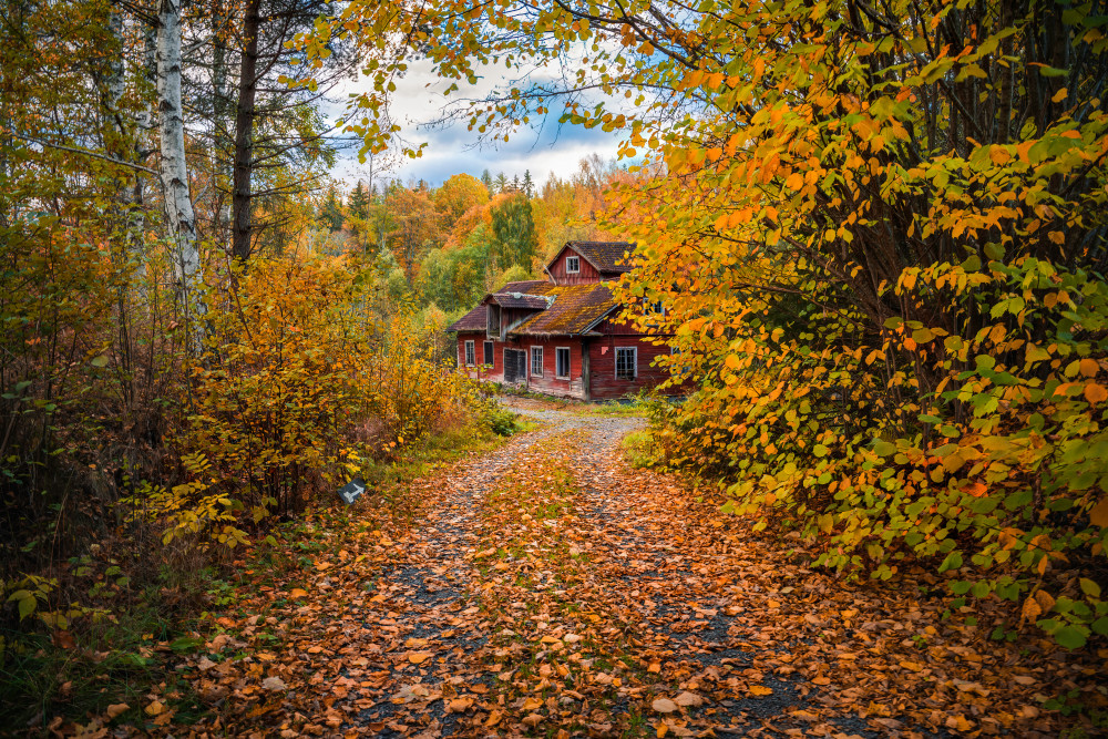 Old mill surrounded by autumn colors à Christian Lindsten