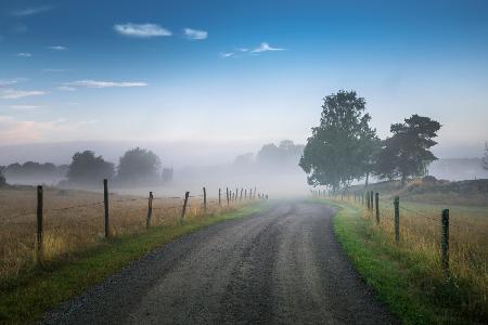 Blue foggy morning