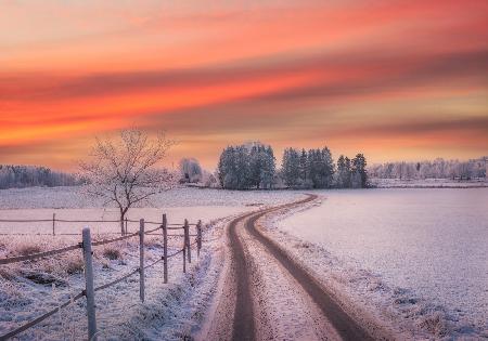 Rural winter scene