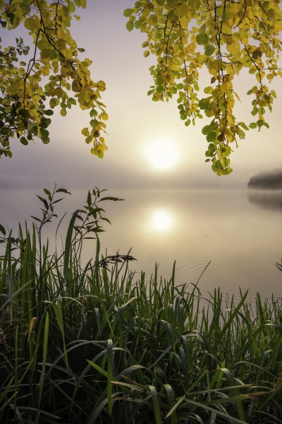 Morning light at the lake à Christian Lindsten