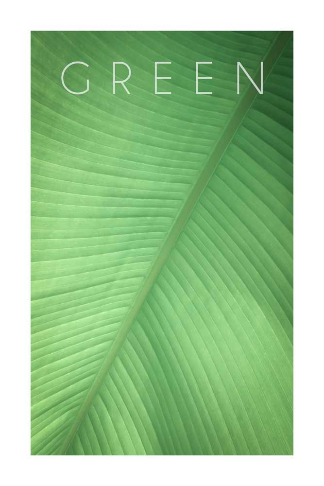 Green 01 à Christian Müringer