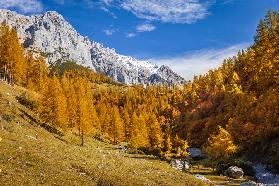 Hiking trail between Neustattalm and Bachlalm on the Dachstein