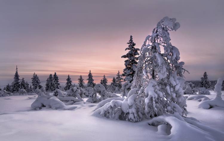 Lappland - winterwonderland à Christian Schweiger