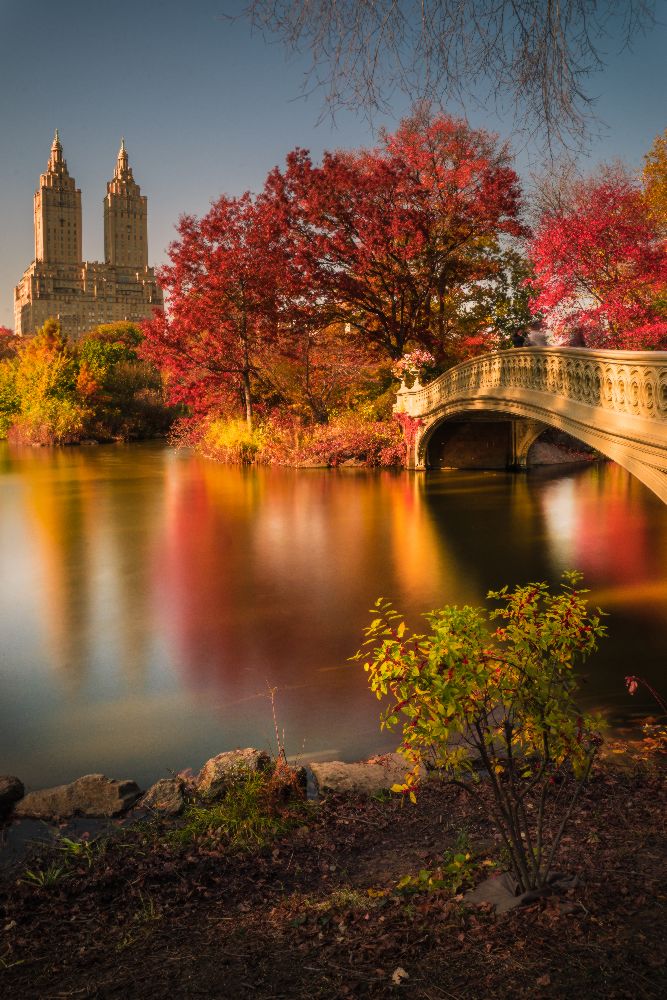 Fall in Central Park à Christopher R. Veizaga