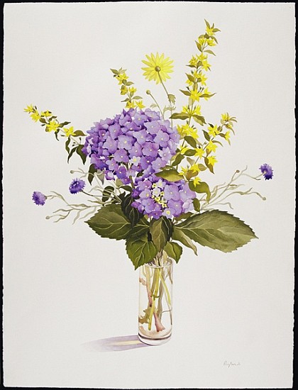 Blue Hydrangea with Yellow Loosestrife (w/c)  à Christopher  Ryland