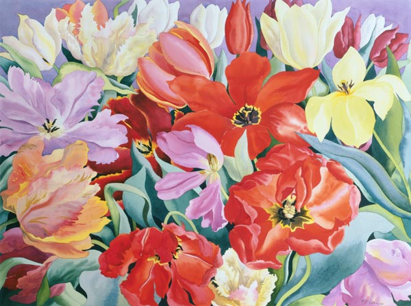 Massed Tulips à Christopher  Ryland