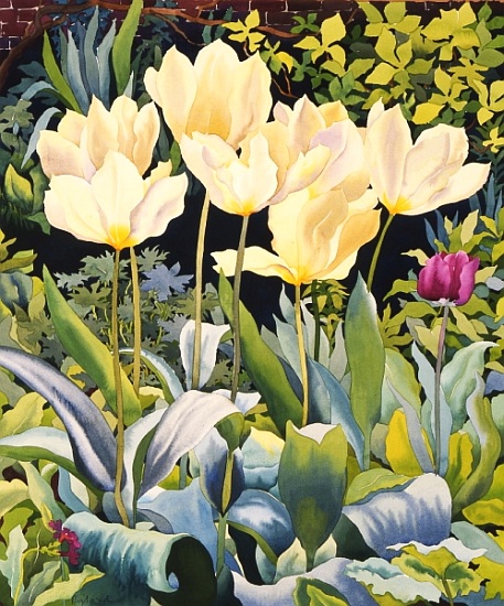 Pale Tulips à Christopher  Ryland