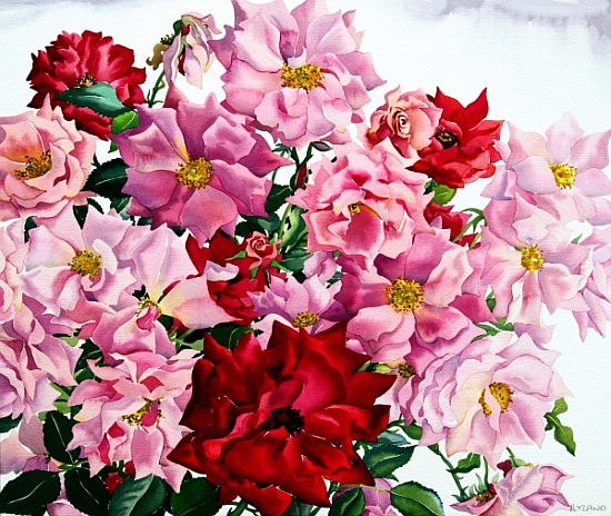 Red and Pink Roses à Christopher  Ryland