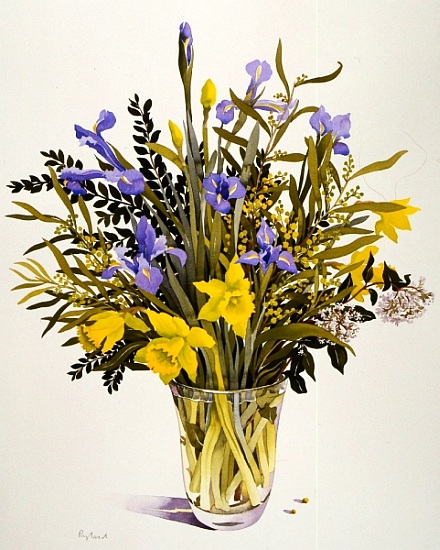Spring Flowers à Christopher  Ryland