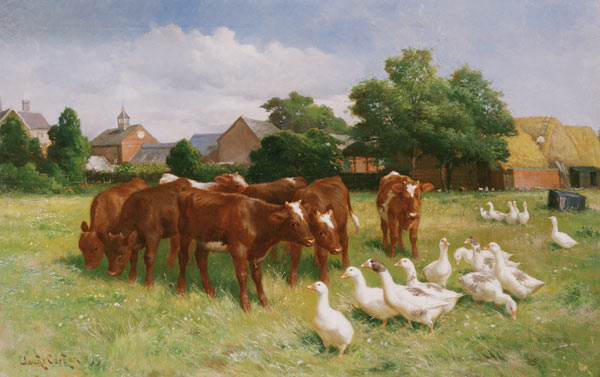 Cows and Ducks à Claude Cardon
