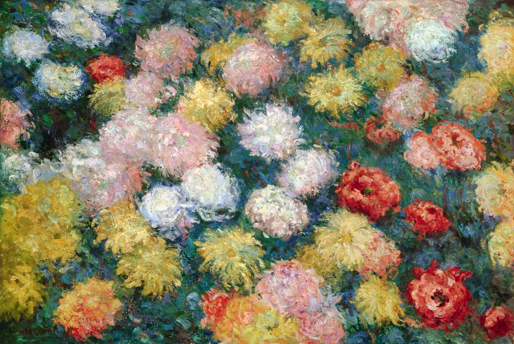 Chrysanthèmes à Claude Monet