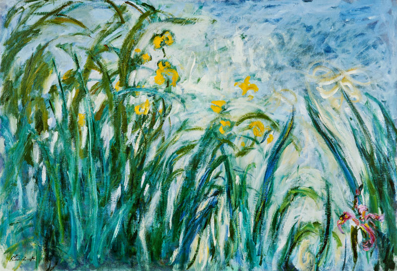Iris jaunes et mauves à Claude Monet