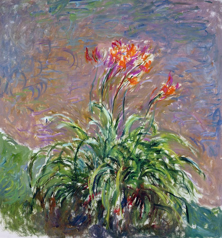 Hemerocallis à Claude Monet