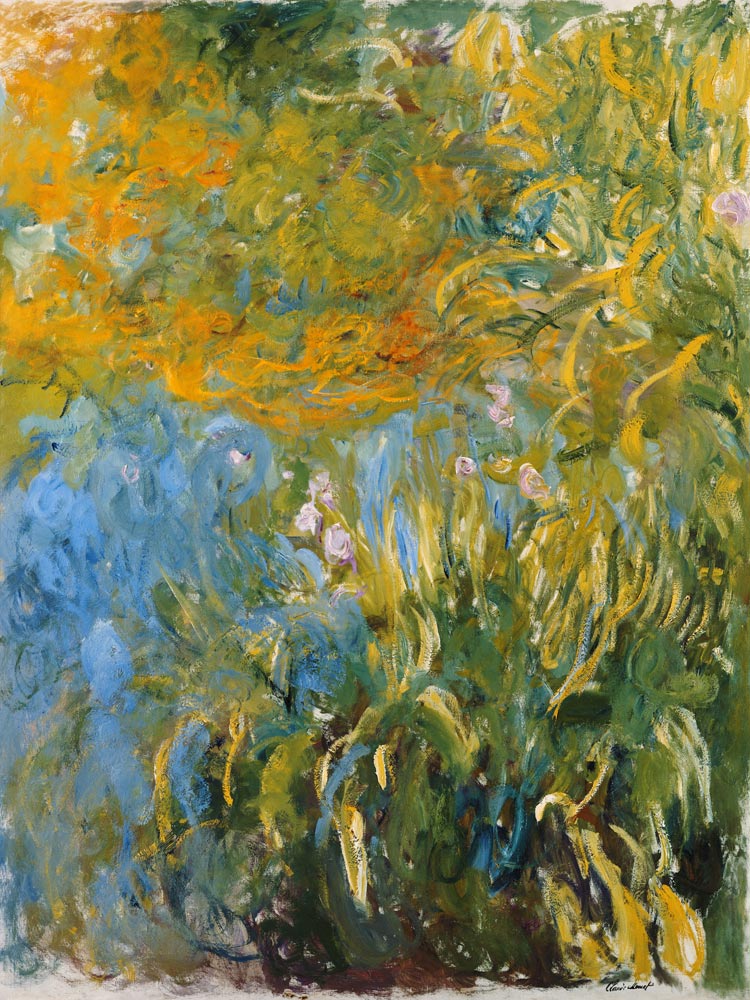 iris. à Claude Monet