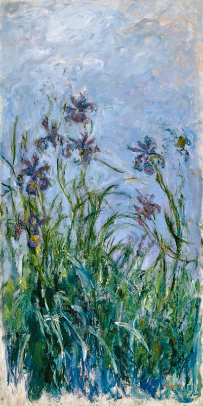 Iris Mauves à Claude Monet