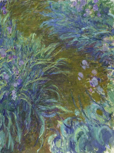 Irises à Claude Monet