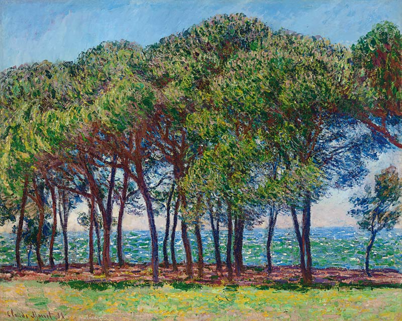 Kiefern am Cap d'Antibes à Claude Monet