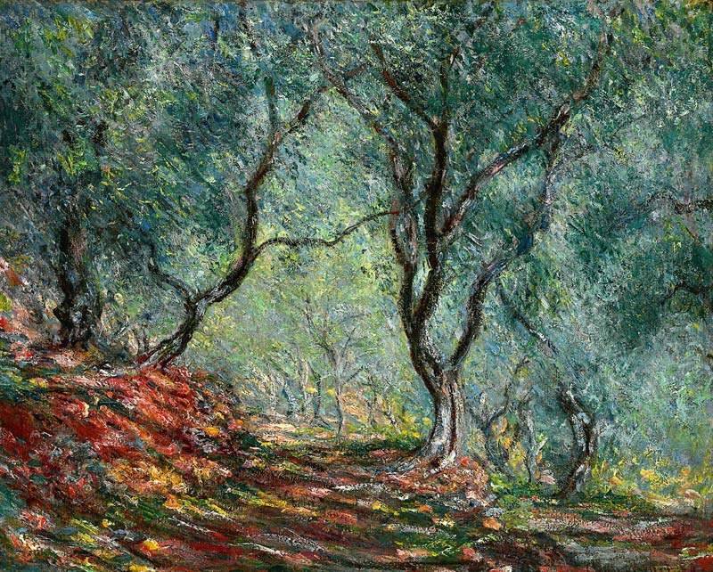 Oliveraie dans le jardin Moreno. à Claude Monet