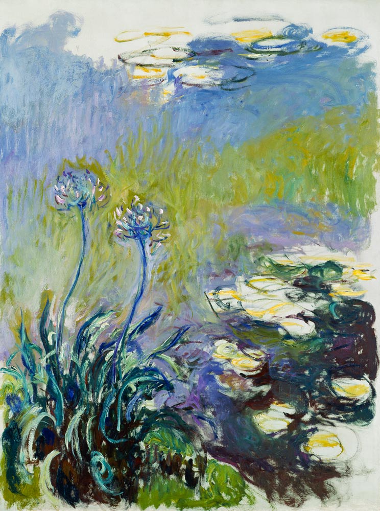 The Agapanthus à Claude Monet