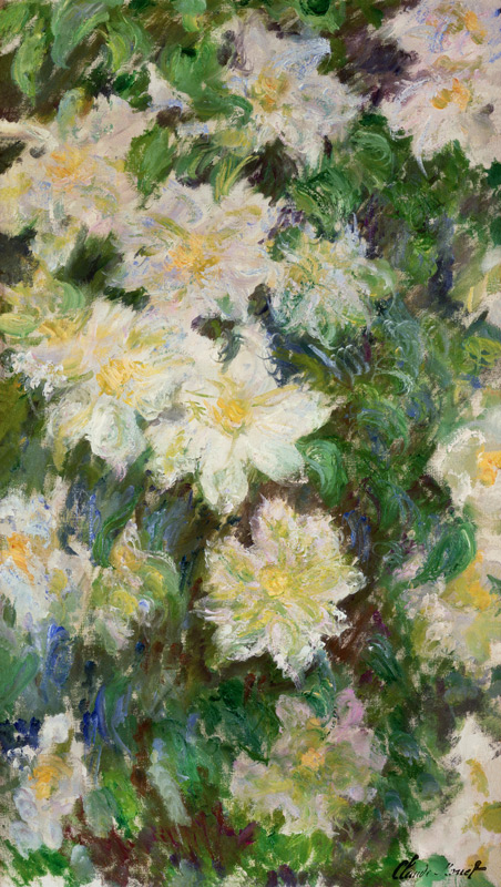 White Clematis à Claude Monet