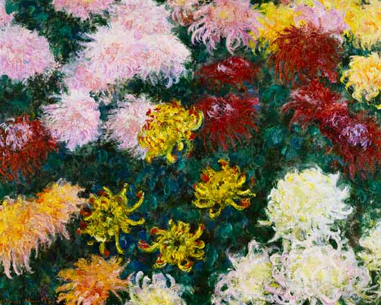 chrysanthèmes à Claude Monet