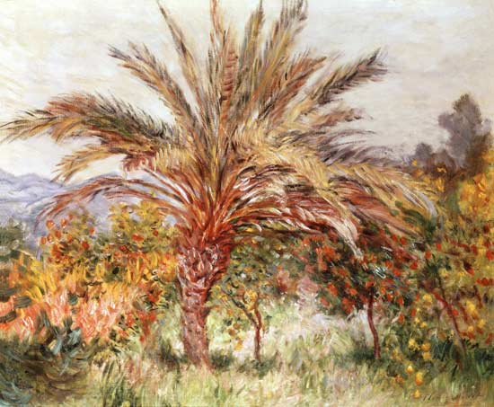 Palm Tree at Bordighera à Claude Monet