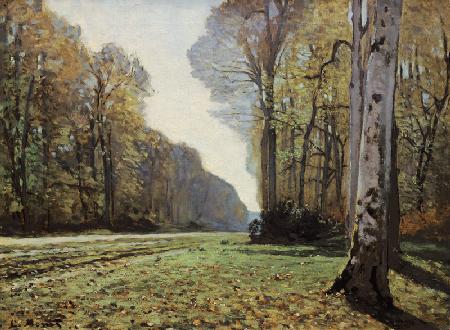 Les pavés de Chailly, forêt de Fontainebleau