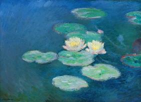 Waterlilies, Evening