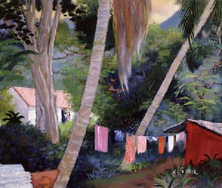 Drying Washing, Guadeloupe