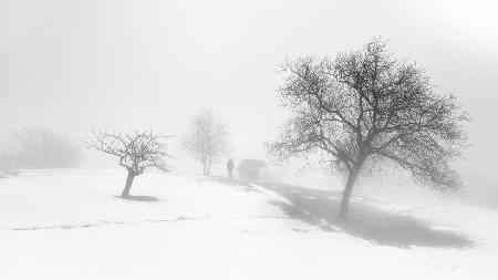 A melancholy foggy day.