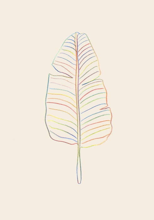 Banana Rainbow Leaf à Graphic Collection