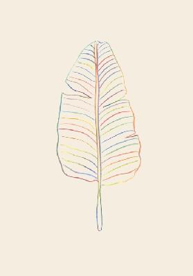 Banana Rainbow Leaf