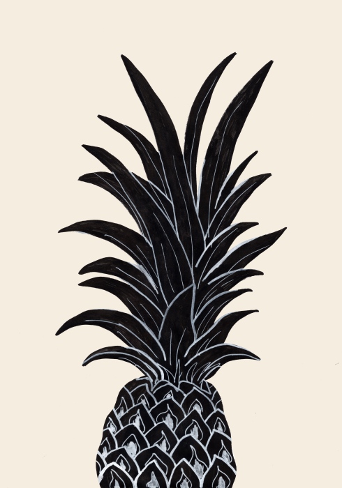 Black Pineapple à Graphic Collection