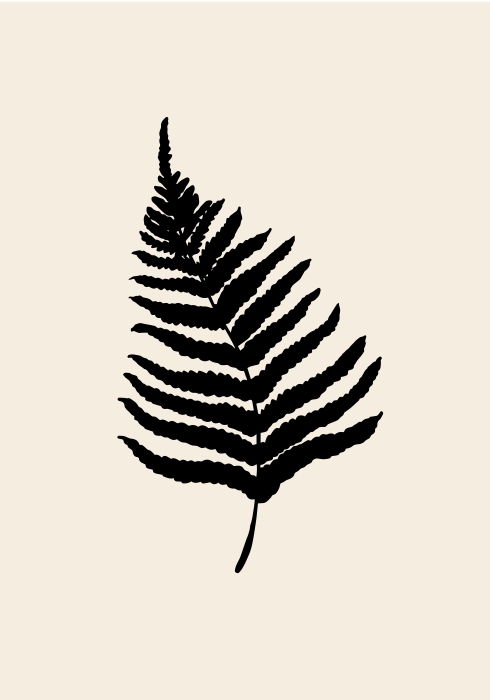 Fern à Graphic Collection