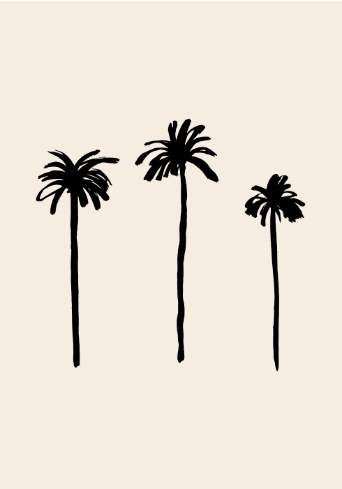 Palm Trees à Graphic Collection