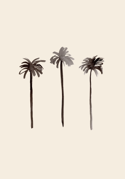 Palm Trees Ink à Graphic Collection