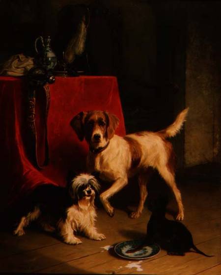 Three dogs à Conradyn Cunaeus