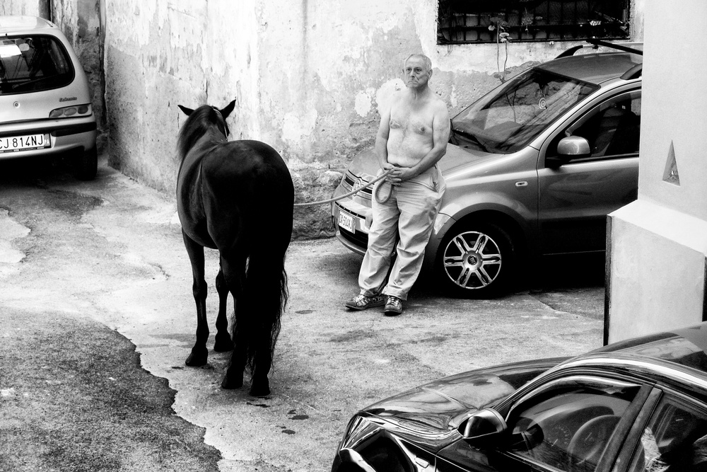 Man with Horse in Palermo Sicily à Constantine Matsos