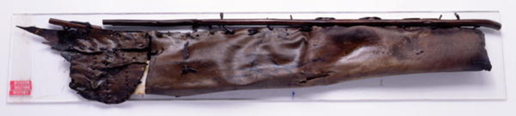 Quiver found with the Oetzi Iceman (chamois leather) à Âge du Cuivre