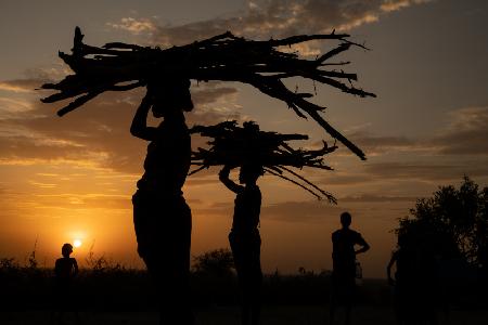 The Children of the Tribe