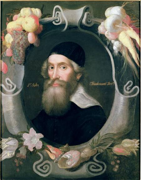 John Tradescant the Elder (1570-c.1638) à Cornelius de Neve