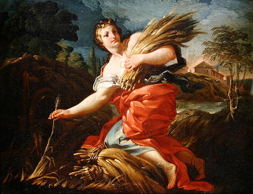 Ruth the Gleaner (oil on canvas) à Corrado Giaquinto