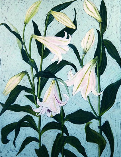 Lilies (pastel on paper)  à Cristiana  Angelini