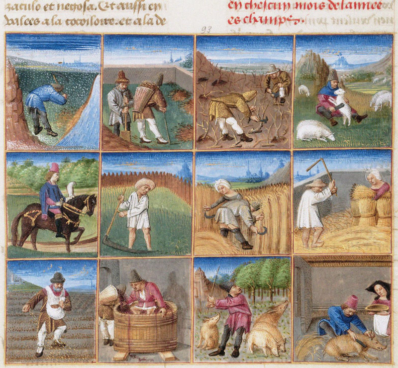 Ruralia commoda. Agricultural calendar from a manuscript of Pietro de' Crescenzi à École tchèque