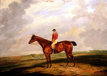 Racehorse with Jockey Up à D. le Jeune Wolstenholme