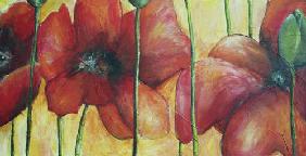 Poppies II