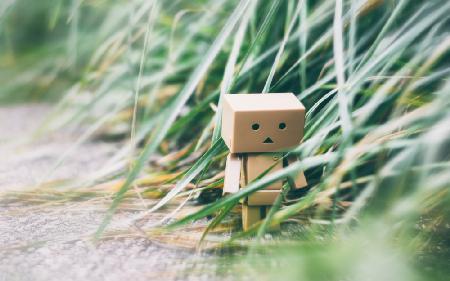 Danbo on a Walk