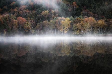 The mystical pond in the autumn 3